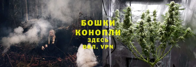 где купить наркоту  Зверево  Канабис Ganja 